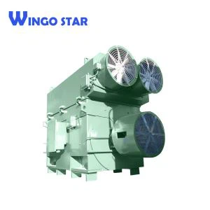 Moteur électrique asynchrone triphasé haute tension