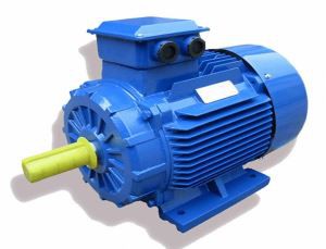 Moteur électrique haute efficacité IE2